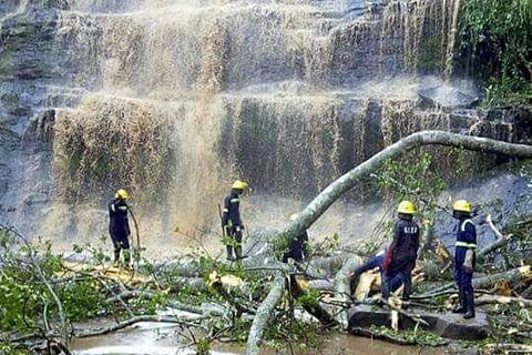 Rescue personnel at the site of the accident