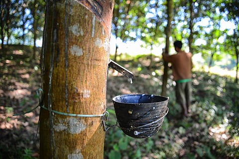 RSDC's rubber training programme will now provide employment to thousands 