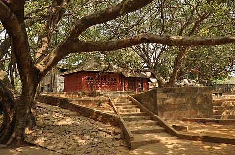 The CKP Campus