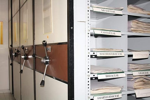 Over 4,000 plants can be found at the Transdisciplinary University in Yelahanka