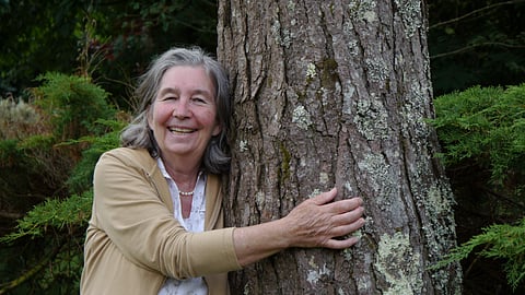 Jane of the Jungle: At 72, Diana Beresford-Kroeger still goes from continent to continent hunting for old trees. Here's why