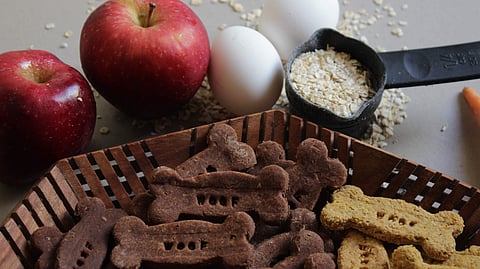 Woof Basket is the labour of love of Suramya Gaur