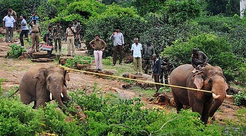 The various sensors in the device corroborate whether the moving animals are indeed elephants and not any other, like a tiger, which can cross the track without needing the train to be slowed down