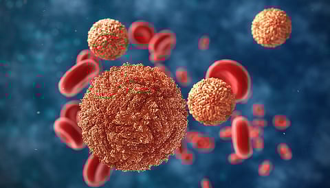 Prof Giri, in his research suggests that it is possible to prevent the capsid folding of the zika virus