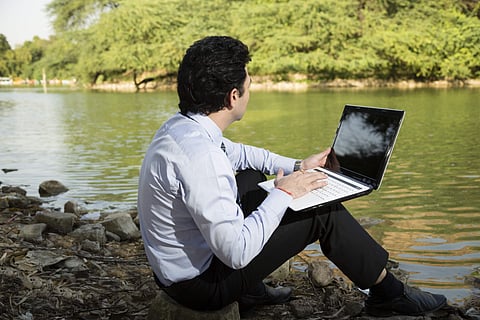 Environment Sustainability experts help to identify and assess the impact of climate change