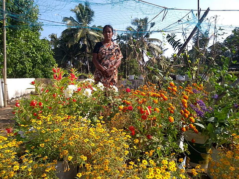 Sobhana’s garden has been a source of inspiration and pride in her locality where she is a celebrated figure
