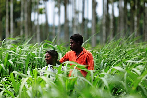The Slave Genesis features the lives of the people within the Paniyar community