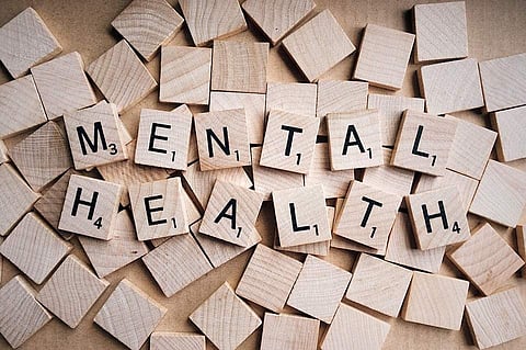 Children raised in a rural environment, surrounded by animals and bacteria, grow up to have more stress-resilient immune systems and may be at lower risk of mental illness than pet-free city dwellers