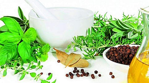 Nadapuram panchayat has come up with an initiative to set up a garden of various medicinal plants in schools