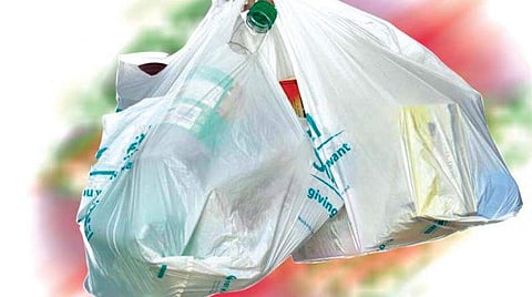 World Environment Day is celebrated on June 5 every year