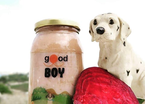 Kaushik advises that we must never fall for a dog's 'puppy eyes' and give them food whenever they ask for it