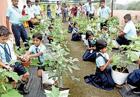Image for representational purpose only (Pic: TNIE)
