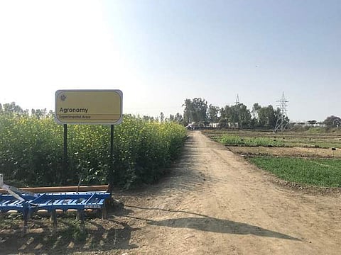 Green Grocer is steadily growing itself into a Farm to Plate Business Model by eliminating the middlemen and providing the farmers with a higher price to their produce  (Pic: Shanky Sungroya)