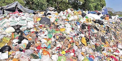 Unsegregated waste (Pic: Albin Mathew)