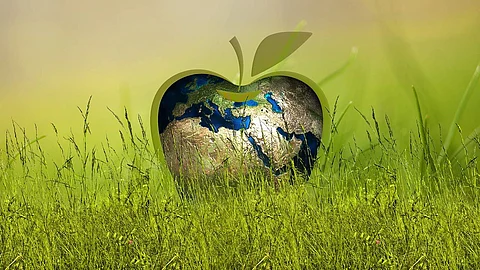 Sustainability is important