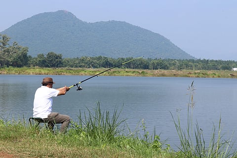 At leisure | (Pic: Jitu Mishra)