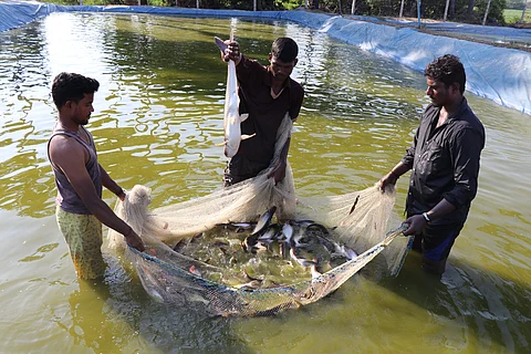 The scope in agriculture and fisheries has increased in the past few years and fisheries is booming the most, said Dr Felix (Pic: TNJFU)