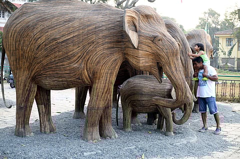 SAFE SPACE: The initiative is aimed at changing the way we think about biodiversity