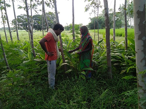 Talking to a women farmer in Chandauli, Uttar Pradesh | (Pic: Amit Srivastwa)