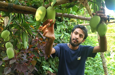 It's been 9 years since Sooraj started organic farming (pic: TP Sooraj)