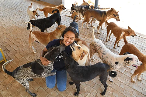 Started in 2012, the Precious Paws Foundation began with the main purpose of finding caring homes for precious puppies who urgently require them (Pic: Pushkar V)