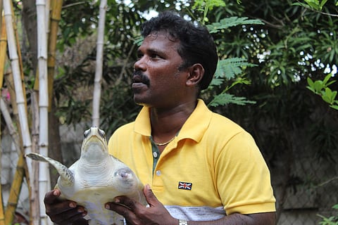 Pugalarasan is rescuing and rehabilitating sea turtles with such frequency that it has become his primary job (Pic: Shreesha Ghosh/Express)
