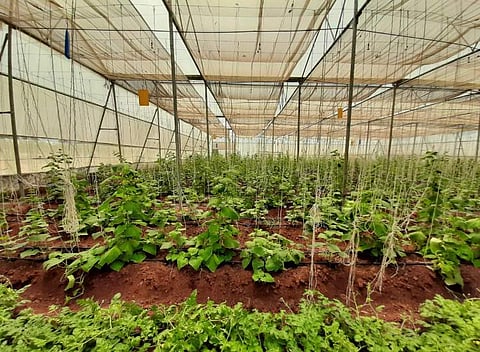 On the ground with Farm19 | (Pic: Farm19)