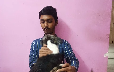 Sai estimates to have rescued about 300 animals, vaccinated and sterilised over 900 dogs