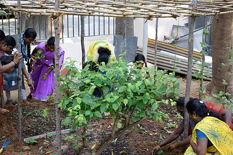Therapeutic horticulture is known to calm senses and reduce stress