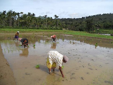 Thanal helps panchayats manage their carbon footprint