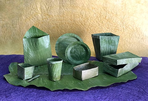 Banana Leaf Technology products