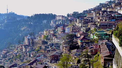 Shimla