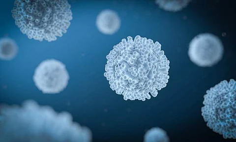 Image for representational purpose only (Pic: Shutterstock)