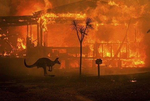 If the bushfires aren't enough to make the climate emergency siren go off, we don't know what will. Let's look at how it all started (Pic: Matthew Abbott for the New York Times)