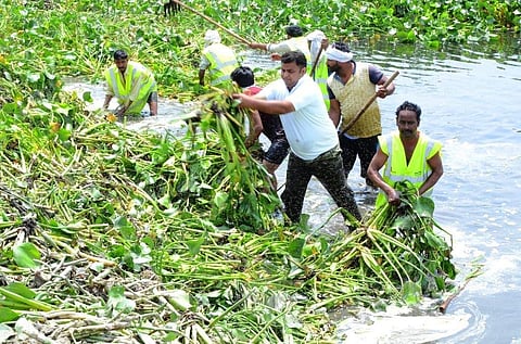 Neer Foundation has revived nearly 420 ponds till now in and around Uttar Pradesh| Pic: Raman Kant Tyagi