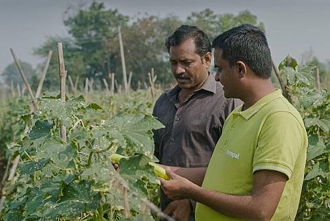 Farmpal is an agri supply chain company