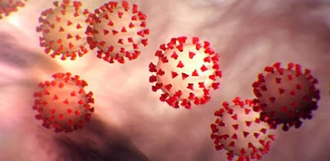 Coronavirus| (Pic: Google)