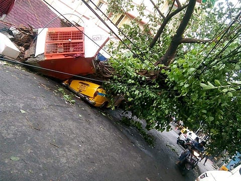 A taxi has been levelled after a temple and tree fell on it (Pic: Facebook)