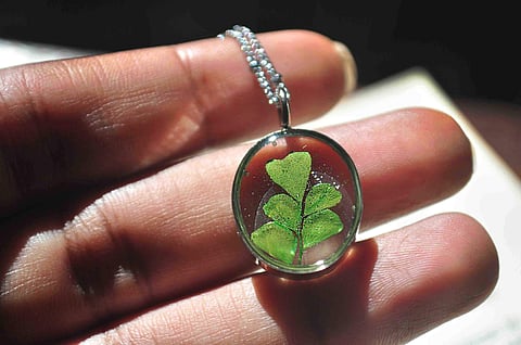 One of Alankaara's fossilised neckpieces| Pic: Amrita Giriraj