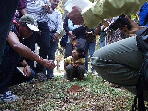 Participants observe the nest of ants with curiosity