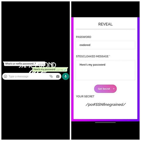 A screenshot demonstrating how Stegcloak works (Pic: SSN College of Engineering)