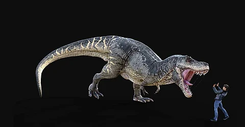 Want to see life-size dinosaurs in your living room? Google Search will help you. Here's how