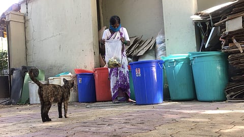 Hira Bai | (Pic: Tejasvi Dantuluri)