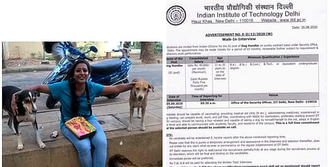 Preethi feeds around 25 dogs regularly