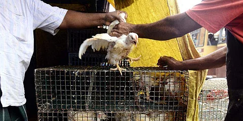 Image for representational purpose only (Pic: Express)