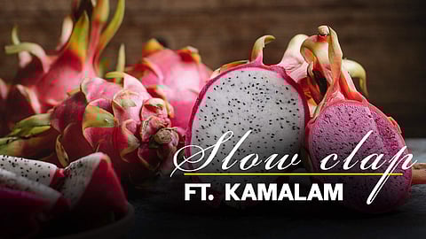 Kamalam was formerly known as dragon fruit