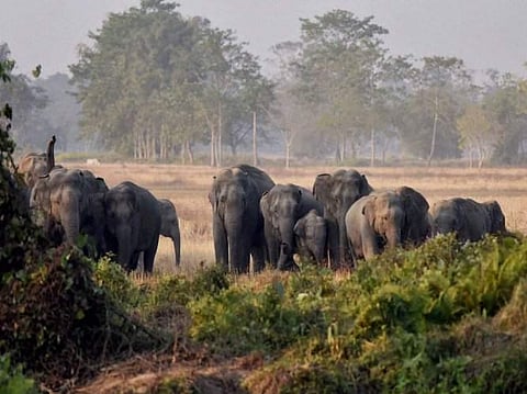 Image for representational purpose only | Pic: PTI