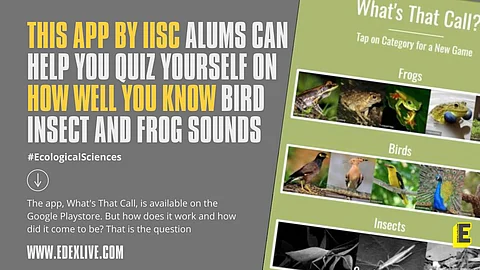This app by IISc alums can help you quiz yourself on how well you know bird, insect and frog sounds 