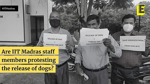 The protesters on campus (Pic: Special Arrangement/ EdexLive)