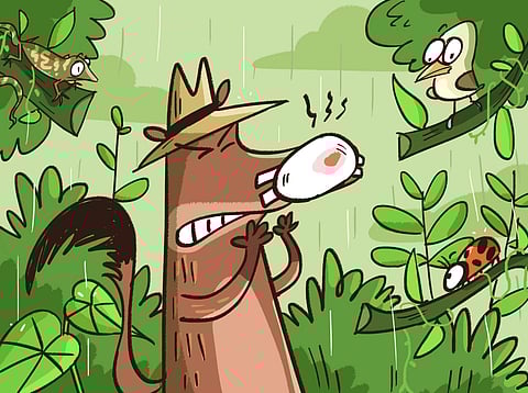 Ruddy in nosy fellow from the book | (Pic: Rohan Chakravarty)
